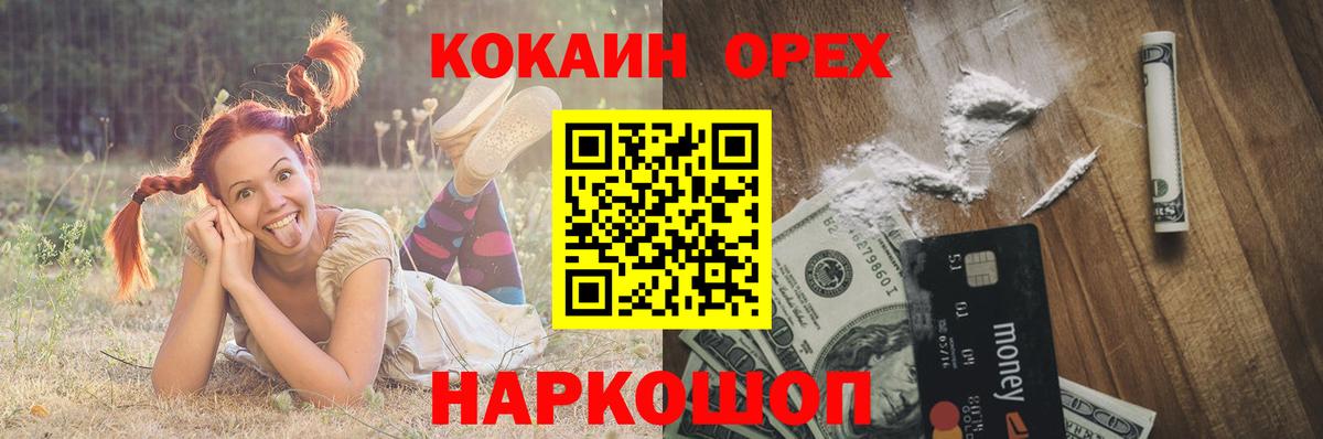Галлюциногенные грибы Осинники