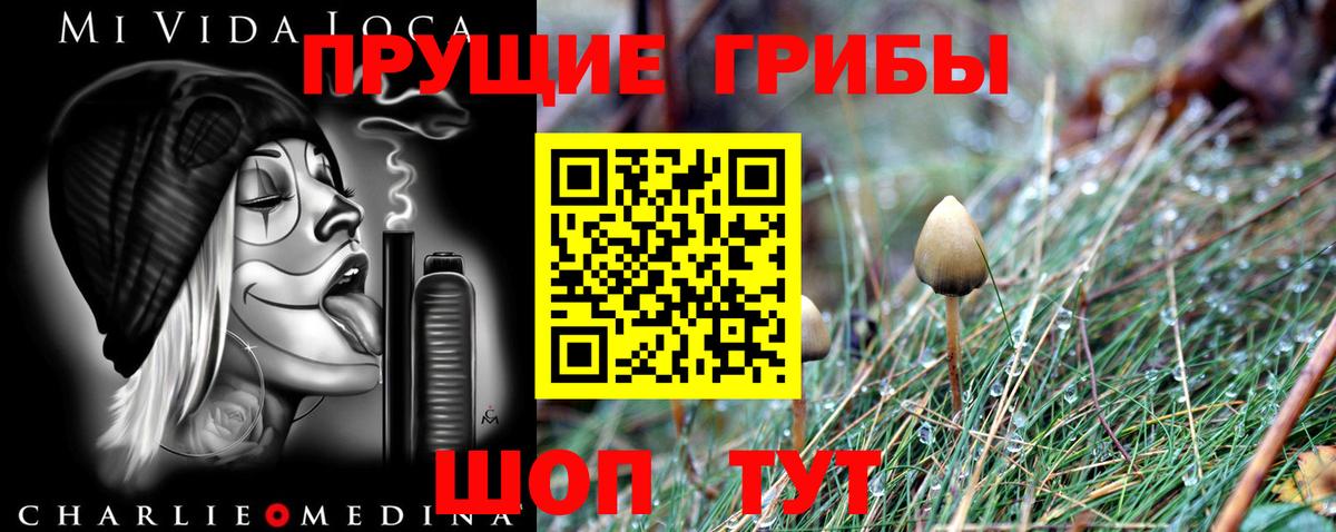 Галлюциногенные грибы мухоморы  Галлюциногенные грибы Magic Shrooms  Вход с VPN  Осинники 